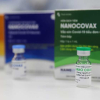 Vì sao chưa thể cấp phép vaccine Nano Covax?