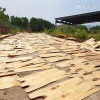Phú Thọ: Dự án nhà máy xi măng hàng trăm tỷ 15 năm bỏ hoang