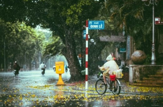 Discovery làm phim 24 phút quảng bá Việt Nam miễn phí