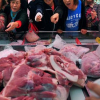 Mở kho thịt lợn đông lạnh quý giá, Trung Quốc vẫn khó lòng hạ nhiệt cơn khủng hoảng thịt lợn