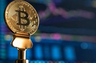 Bitcoin về 8.000 USD hay lên 31.000 USD?