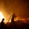 Indonesia bắt giữ gần 200 người liên quan cháy rừng