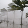 Việt Nam sẽ hứng chịu bao nhiêu cơn bão trong năm 2020?