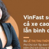 Hồ sơ khủng của nữ chủ tịch VinFast Lê Thị Thu Thủy