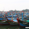 Chuyện ngư dân vươn khơi Hoàng Sa bất chấp Trung Quốc cấm biển nguy hiểm