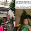 Bé trai thiệt mạng ở phòng khám tư: Chủ tịch Hà Nội yêu cầu xử nghiêm