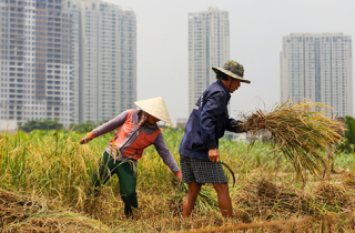 Người dân Thanh Đa sống khổ vì 