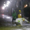 Siêu bão mạnh nhất 6 thập kỷ đổ bộ: 270.000 hộ dân Tokyo mất điện