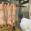 Giá lên đỉnh kỷ lục, thịt lợn sẽ tiếp tục tăng đến Tết