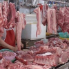 Việt Nam tiêu hủy 5,6 triệu con lợn do dịch tả lợn châu Phi