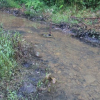 Công an Hòa Bình triệu tập những người liên quan vụ đổ trộm dầu bẩn gây ô nhiễm nước sông Đà