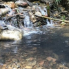 Hai nghi phạm đổ dầu thải gây ô nhiễm nguồn nước sông Đà khai gì?