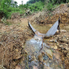 Đổ trộm dầu thải xuống sông Đà, cảnh báo an ninh nguồn nước