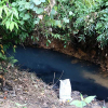 Nước nhiễm dầu thải, Viwasupco xin lỗi, miễn phí 1 tháng tiền nước