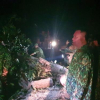 Sạt lở kinh hoàng ở Nam Trà My: Quân đội xuyên đêm cưa cây, mở đường
