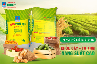 Nỗ lực tăng nguồn cung phân bón cho bà con nông dân