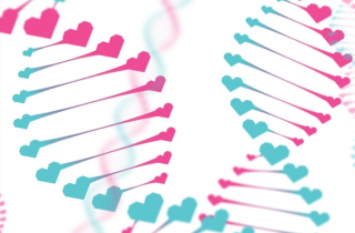 Chuyện lạ mai mối ADN: Tìm kiếm bạn đời thông qua gene di truyền
