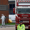 Dữ liệu GPS tiết lộ bất ngờ về hành trình container chở 39 người chết ở Anh