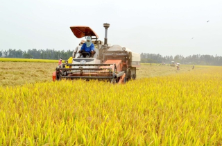 “Thế giới 7 tỉ người” và phép tính của bộ trưởng