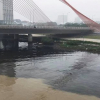Công an lấy mẫu nước, điều tra thủ phạm xả thải ‘đầu độc’ sông Hàn