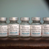 Vaccine Covaxin được WHO phê duyệt khẩn cấp có gì đặc biệt?