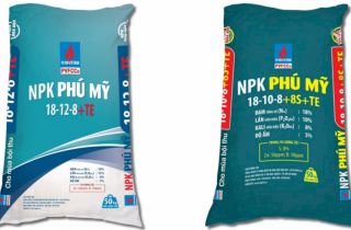 NPK Phú Mỹ ra mắt dòng công thức mới: NPK Phú Mỹ 18-12-8+TE và NPK Phú Mỹ 18-10-8+8S+TE