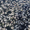 Cá chết phủ kín mặt hồ điều hòa ở thành phố Vinh