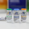 Vaccine Nanocovax đạt hiệu quả ra sao?