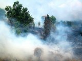Khói mù do cháy rừng từ Indonesia: Phép thử năng lực phối hợp của ASEAN