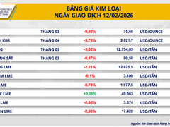Đọc nhanh bài viết 210558