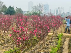 Đọc nhanh bài viết 210571