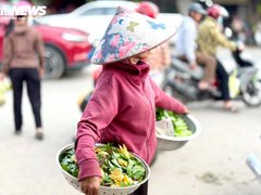 Đọc nhanh bài viết 210594