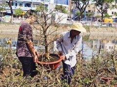 Đọc nhanh bài viết 210607
