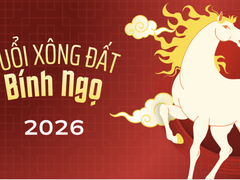 Đọc nhanh bài viết 210616