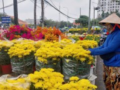 Đọc nhanh bài viết 210628