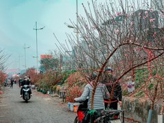 Đọc nhanh bài viết 210630