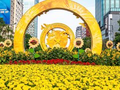 Đọc nhanh bài viết 210631