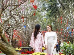 Đọc nhanh bài viết 210636