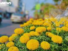 Đọc nhanh bài viết 210646