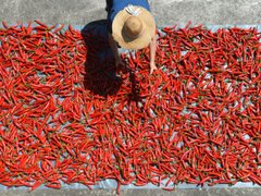 Đọc nhanh bài viết 210661