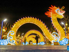 Đọc nhanh bài viết 210663