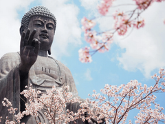 Ảnh bìa bài viết 210696