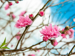 Đọc nhanh bài viết 210703