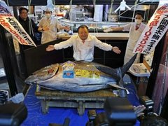 Đọc nhanh bài viết 210704