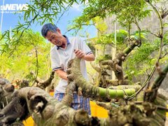 Đọc nhanh bài viết 210724