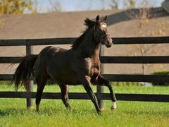 Đọc nhanh bài viết 210756