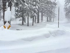 Đọc nhanh bài viết 210775