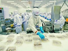 Đọc nhanh bài viết 210814