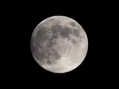 Đọc nhanh bài viết 210885