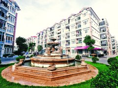 Đọc nhanh bài viết 210928